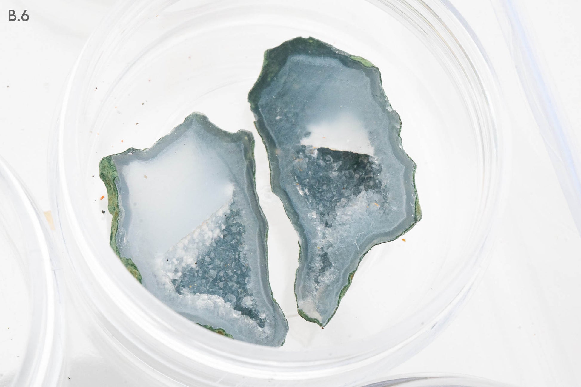Baby Geodes - Rancho Agua Blanca, Tabasco Municipality, Zacatecas, Mexico