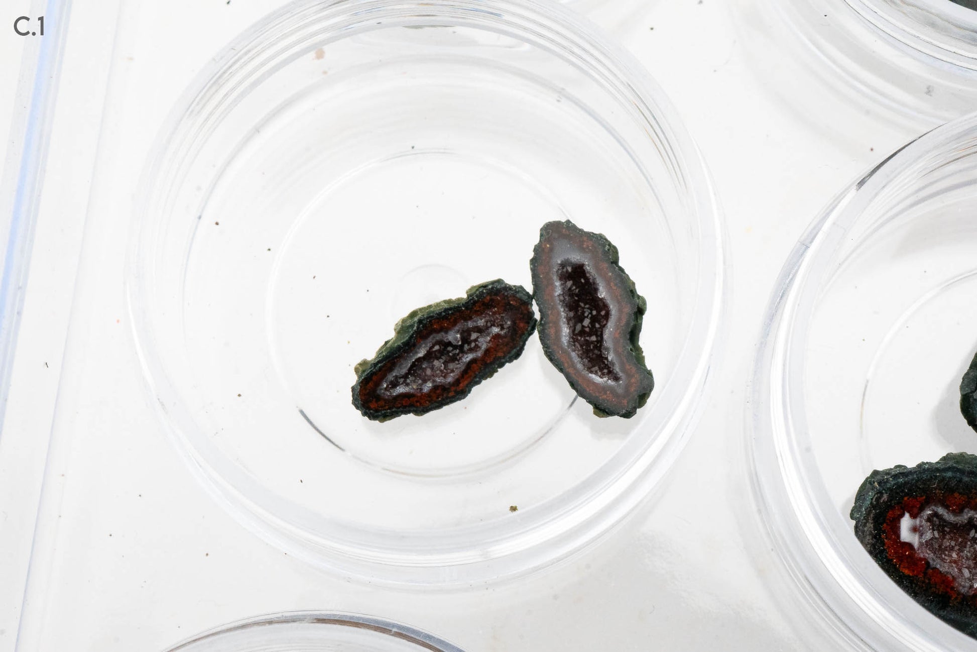 Baby Geodes - Rancho Agua Blanca, Tabasco Municipality, Zacatecas, Mexico