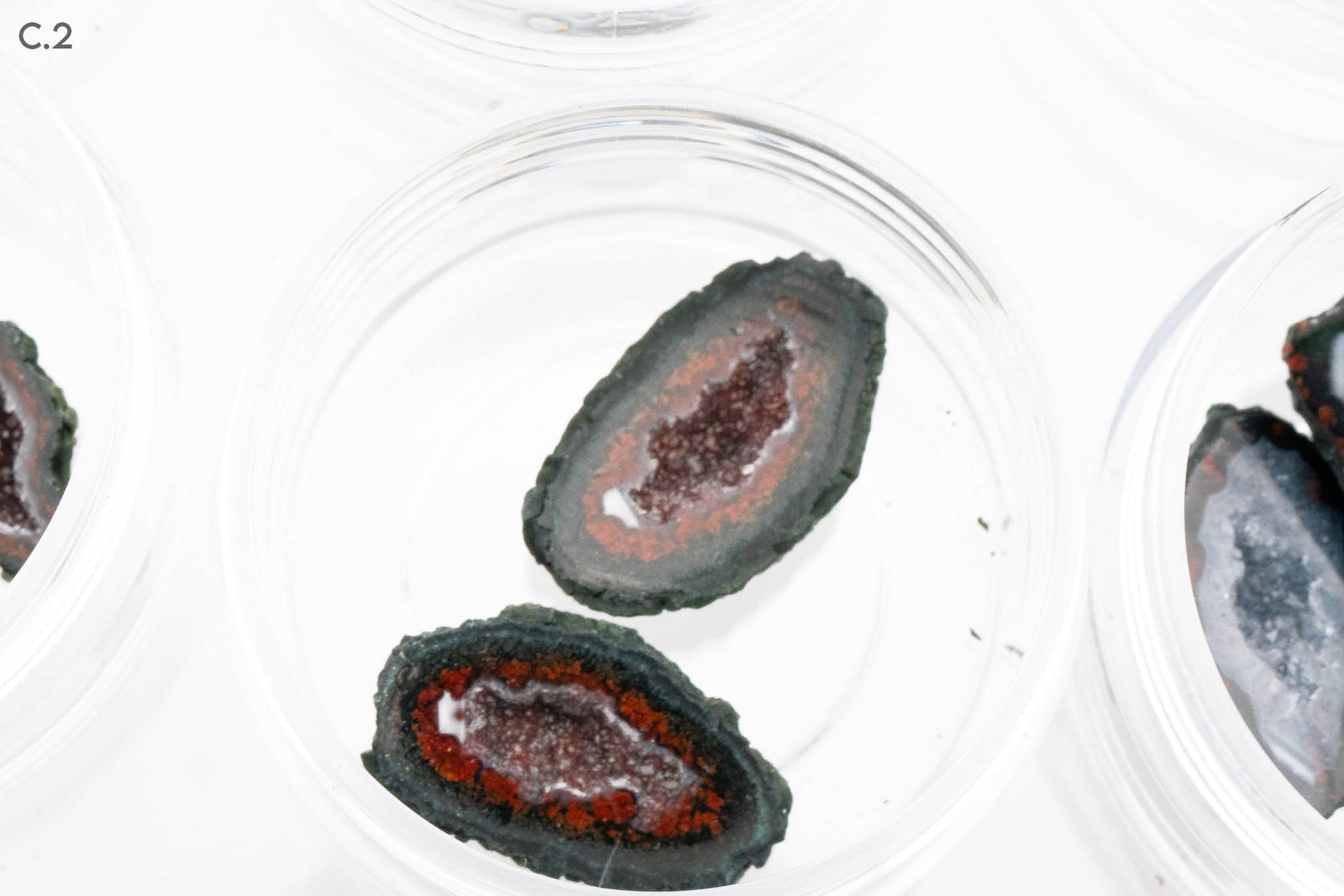 Baby Geodes - Rancho Agua Blanca, Tabasco Municipality, Zacatecas, Mexico