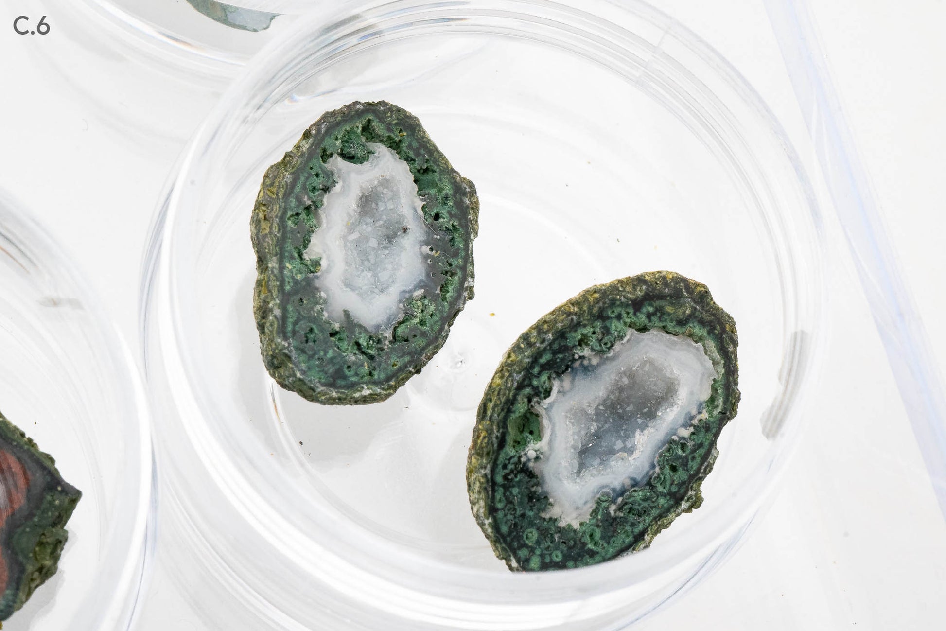 Baby Geodes - Rancho Agua Blanca, Tabasco Municipality, Zacatecas, Mexico