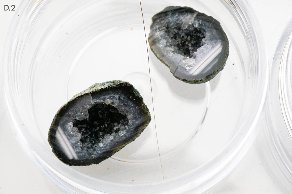 Baby Geodes - Rancho Agua Blanca, Tabasco Municipality, Zacatecas, Mexico