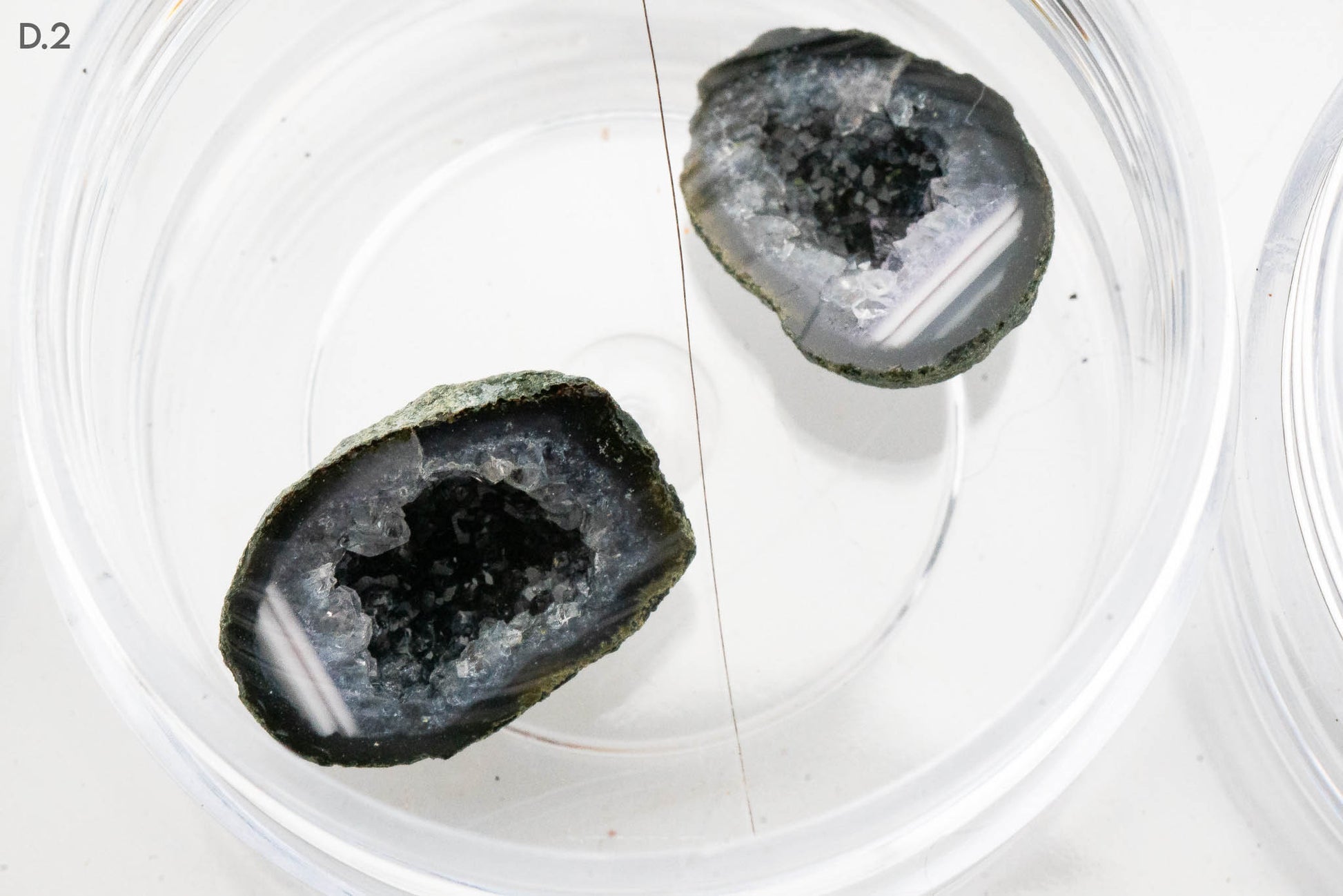 Baby Geodes - Rancho Agua Blanca, Tabasco Municipality, Zacatecas, Mexico