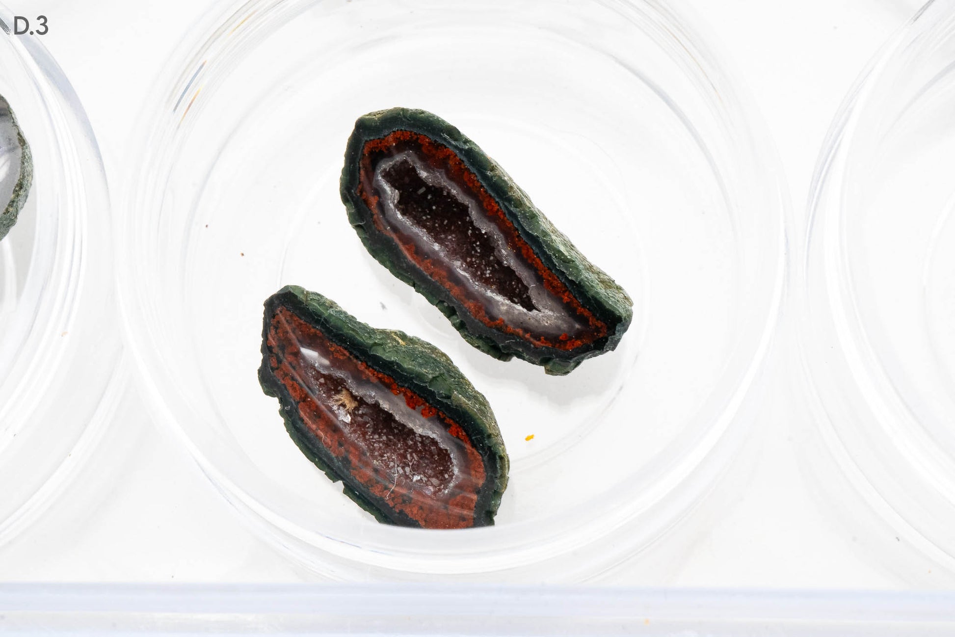 Baby Geodes - Rancho Agua Blanca, Tabasco Municipality, Zacatecas, Mexico