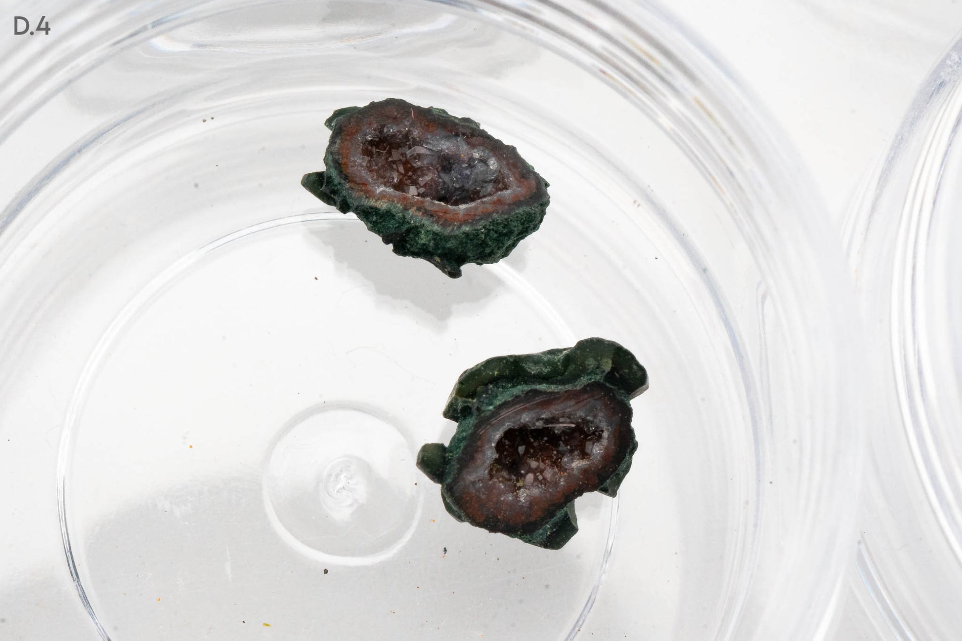 Baby Geodes - Rancho Agua Blanca, Tabasco Municipality, Zacatecas, Mexico