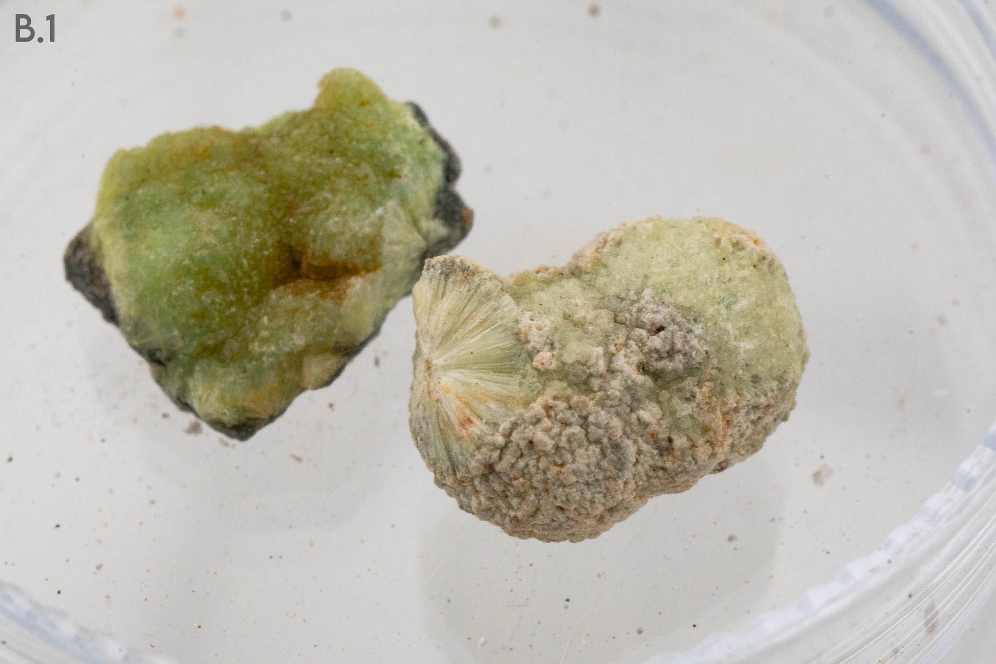 $5 Micros - Topaz, Mexico - Wavellite, USA - Grape Agate, Indonesia - Iridescent Hematite, Brazil
