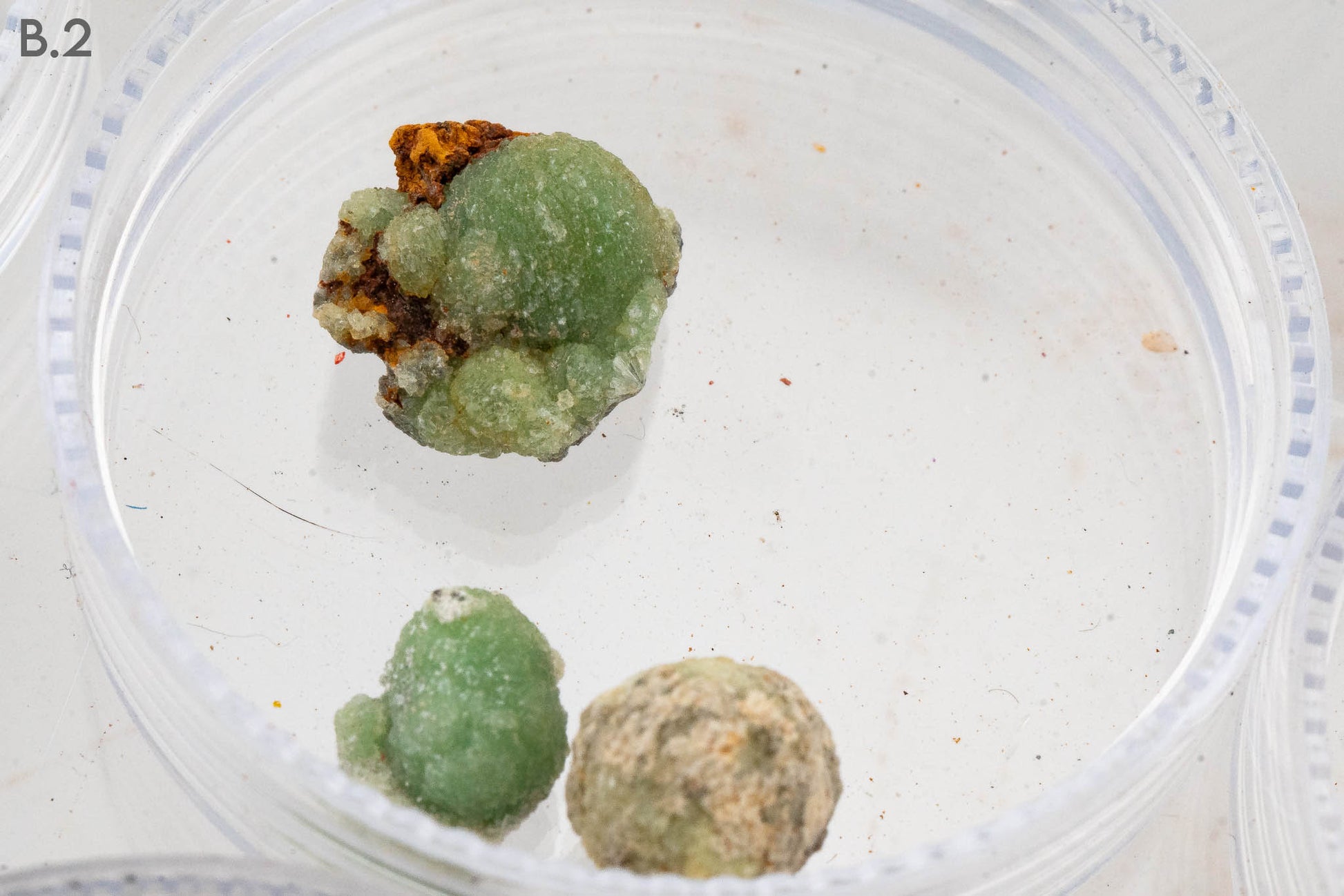 $5 Micros - Topaz, Mexico - Wavellite, USA - Grape Agate, Indonesia - Iridescent Hematite, Brazil