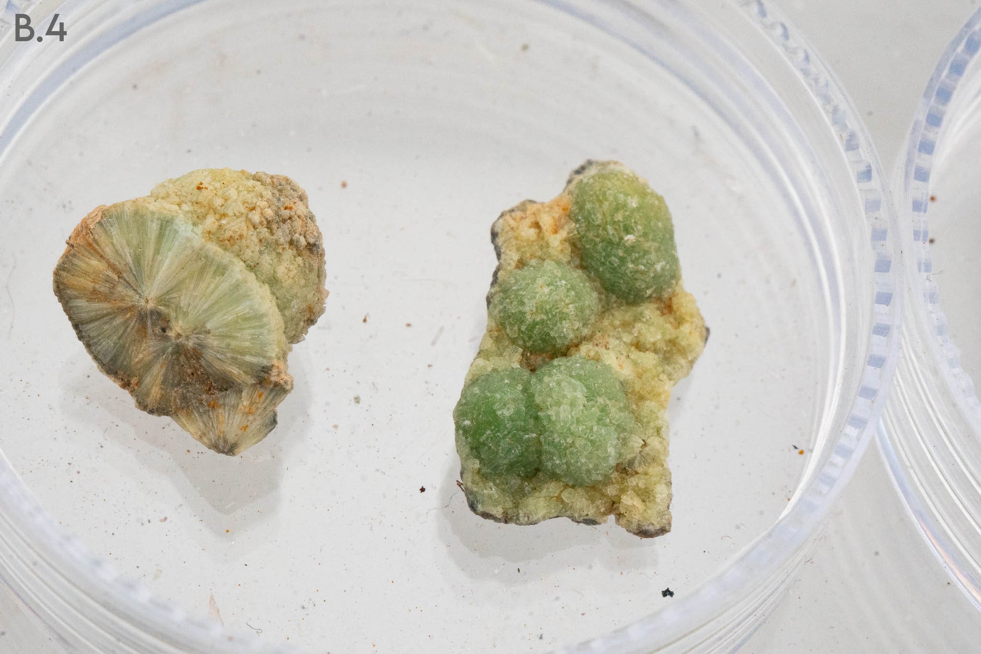 $5 Micros - Topaz, Mexico - Wavellite, USA - Grape Agate, Indonesia - Iridescent Hematite, Brazil