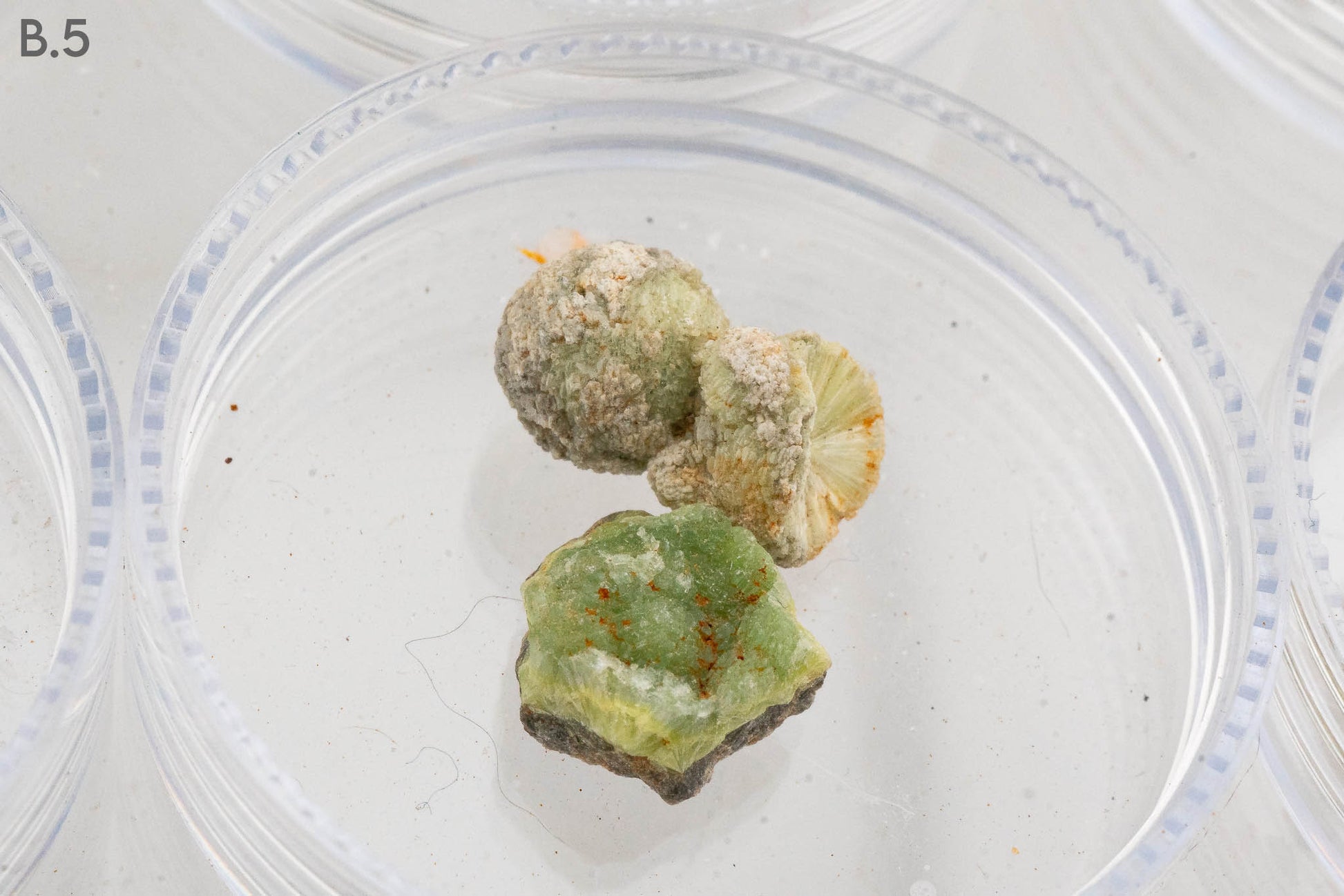 $5 Micros - Topaz, Mexico - Wavellite, USA - Grape Agate, Indonesia - Iridescent Hematite, Brazil