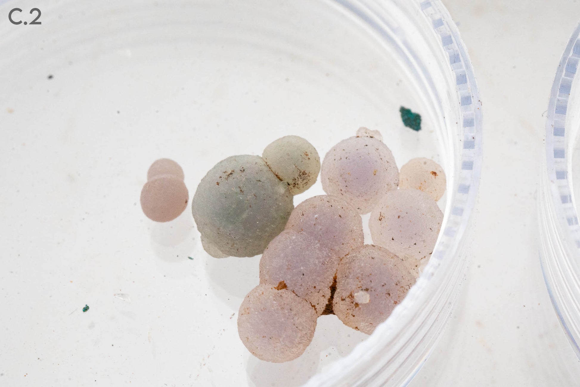 $5 Micros - Topaz, Mexico - Wavellite, USA - Grape Agate, Indonesia - Iridescent Hematite, Brazil