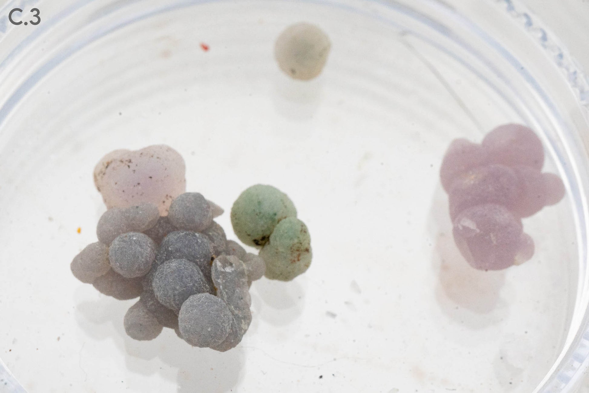 $5 Micros - Topaz, Mexico - Wavellite, USA - Grape Agate, Indonesia - Iridescent Hematite, Brazil