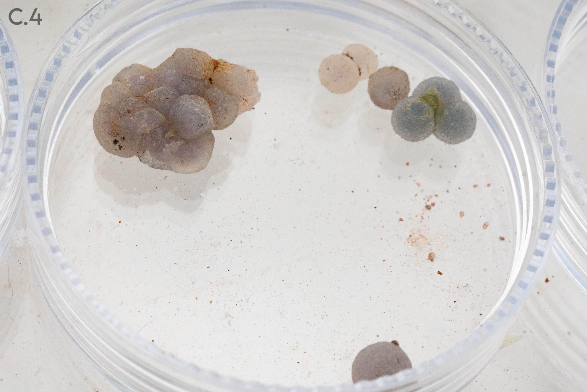 $5 Micros - Topaz, Mexico - Wavellite, USA - Grape Agate, Indonesia - Iridescent Hematite, Brazil