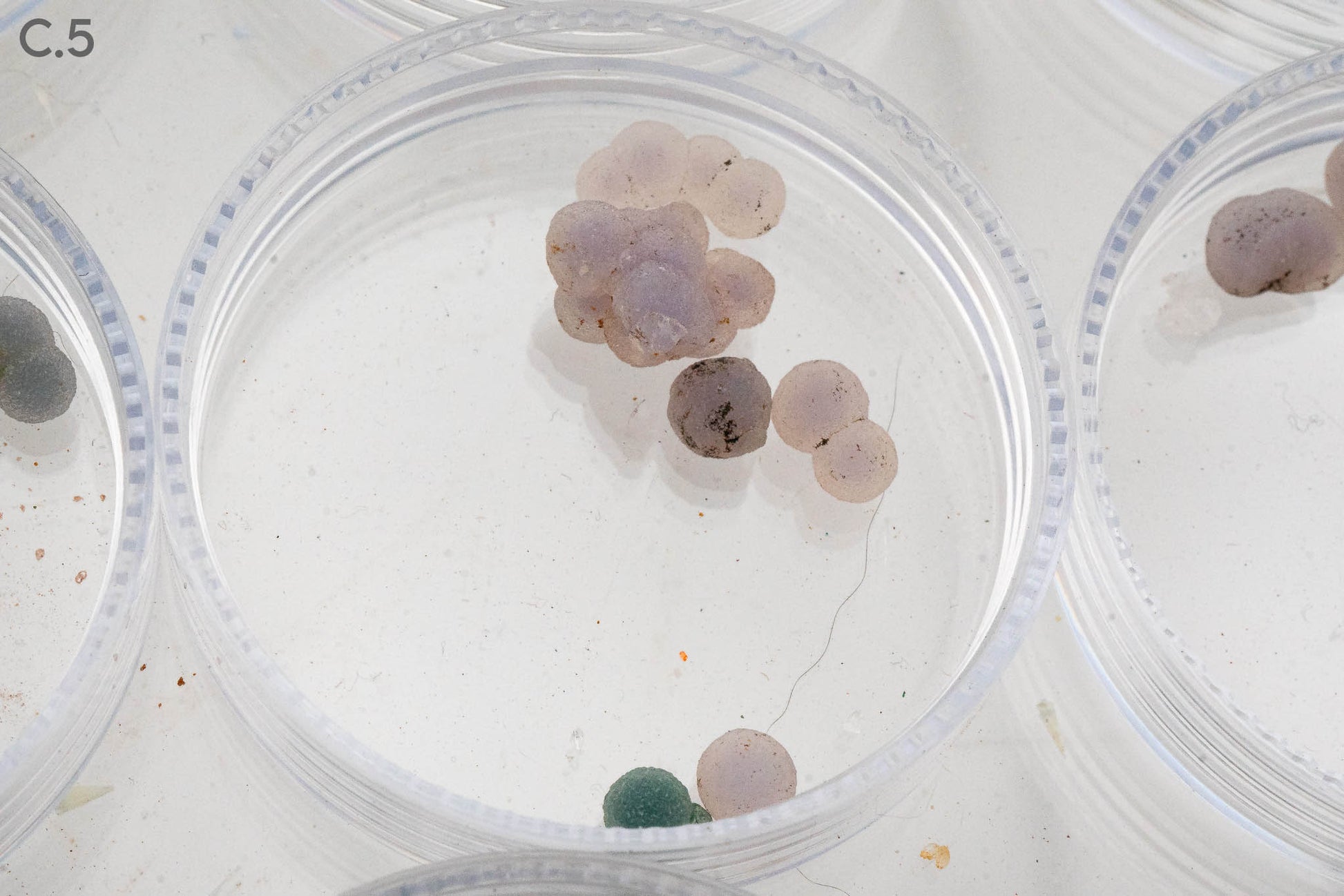 $5 Micros - Topaz, Mexico - Wavellite, USA - Grape Agate, Indonesia - Iridescent Hematite, Brazil
