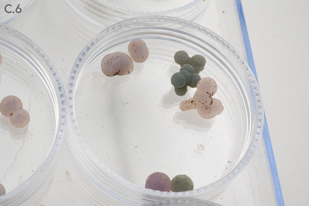 $5 Micros - Topaz, Mexico - Wavellite, USA - Grape Agate, Indonesia - Iridescent Hematite, Brazil