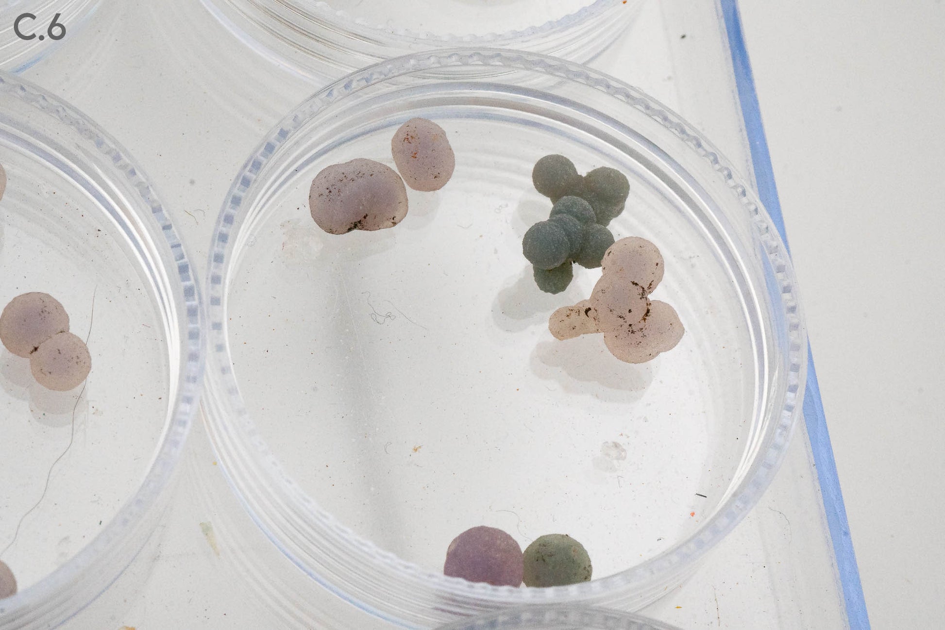 $5 Micros - Topaz, Mexico - Wavellite, USA - Grape Agate, Indonesia - Iridescent Hematite, Brazil