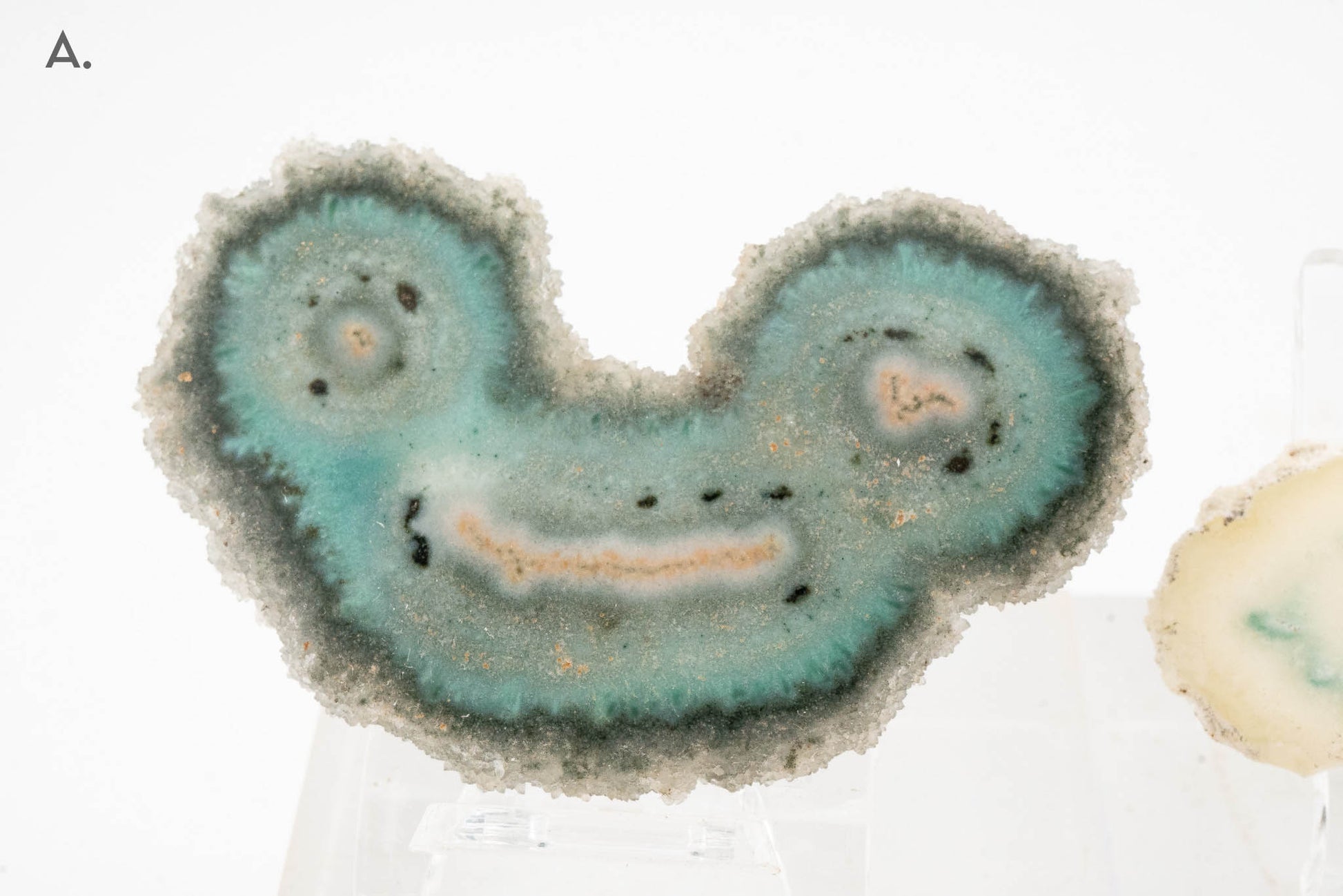 Solar Quartz Stalactite Slice - Brazil