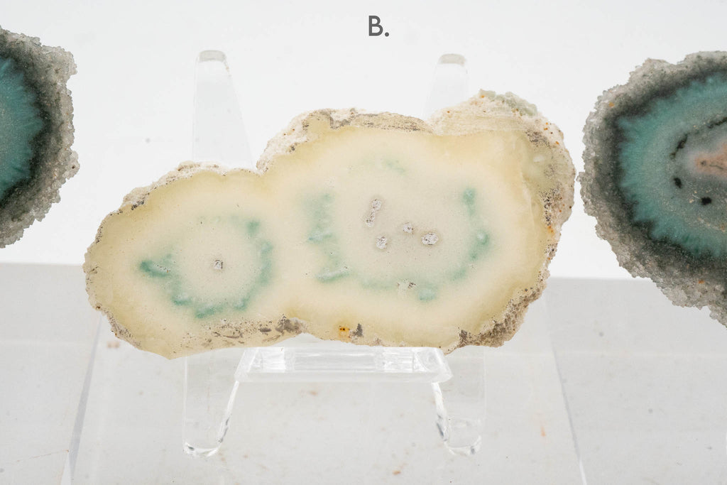 Solar Quartz Stalactite Slice - Brazil