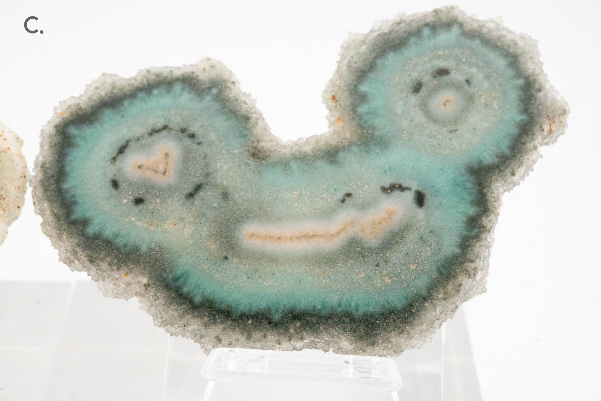 Solar Quartz Stalactite Slice - Brazil