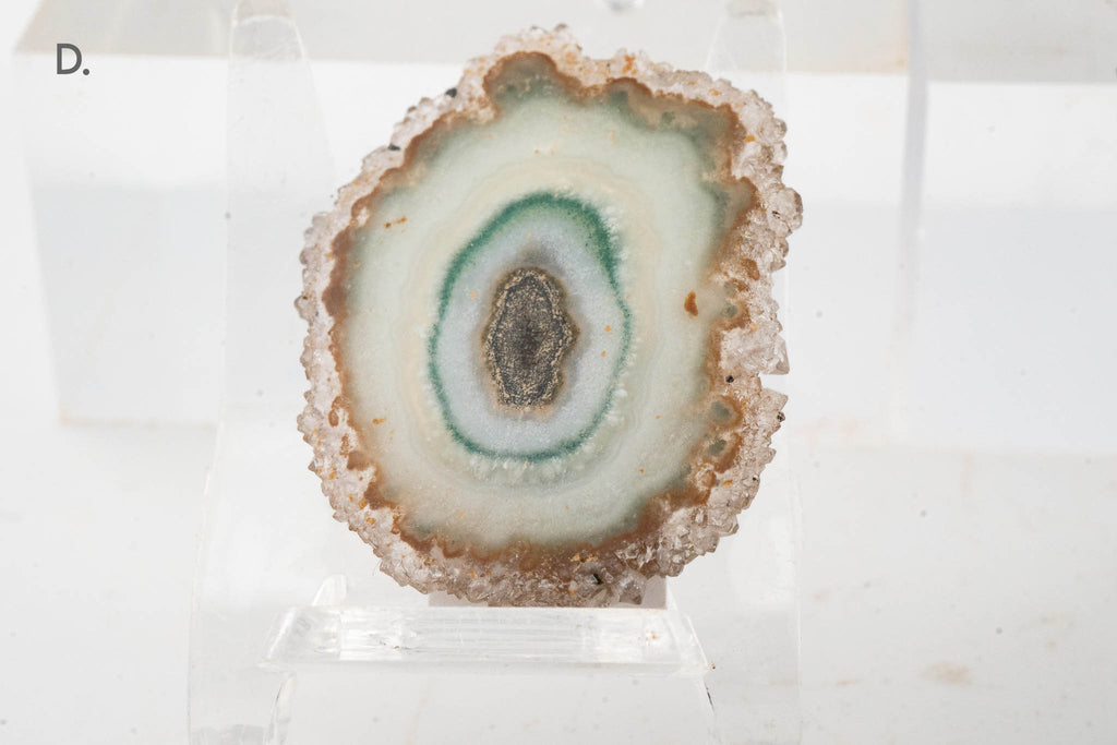 Solar Quartz Stalactite Slice - Brazil