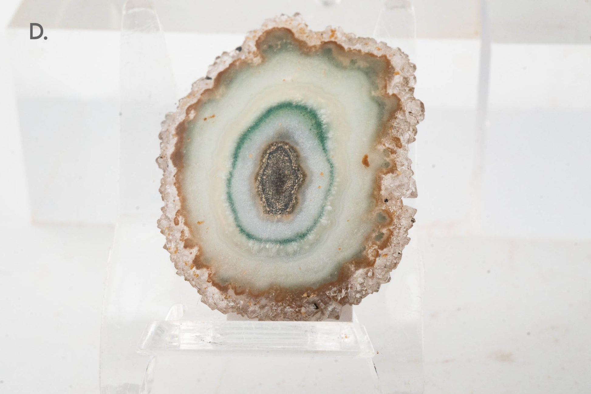 Solar Quartz Stalactite Slice - Brazil