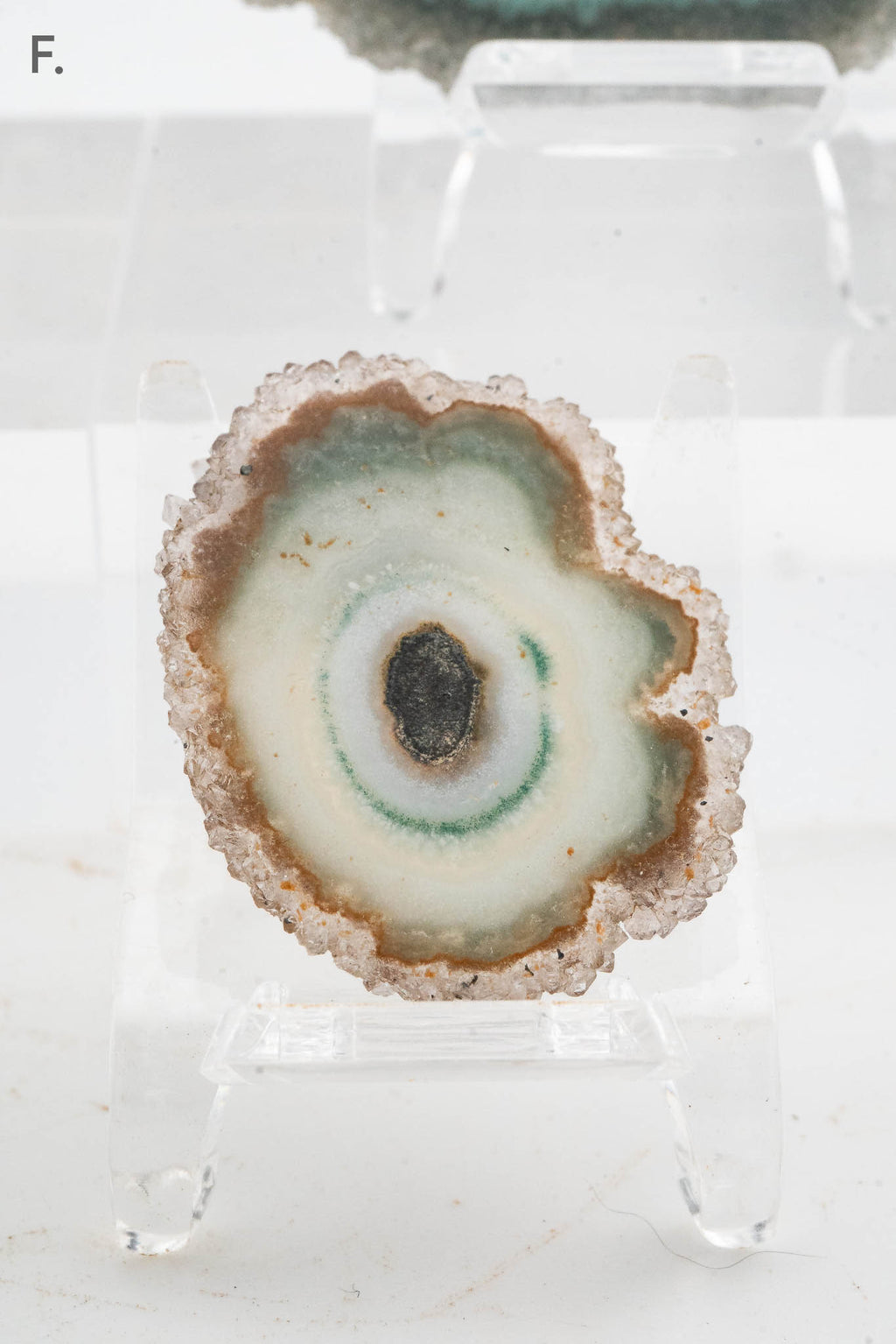 Solar Quartz Stalactite Slice - Brazil