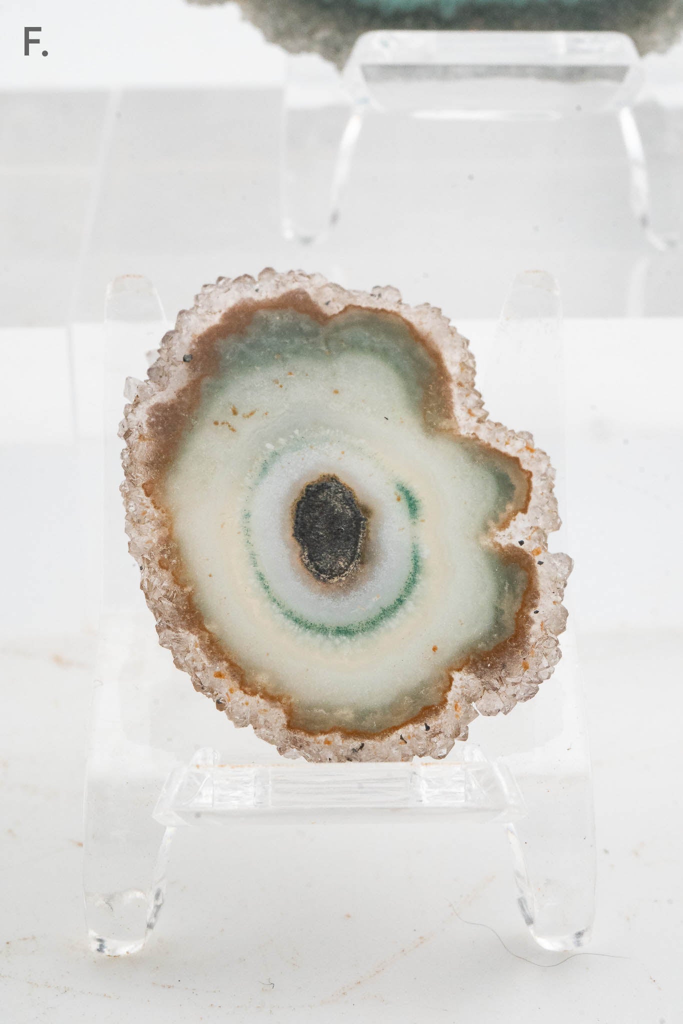 Solar Quartz Stalactite Slice - Brazil
