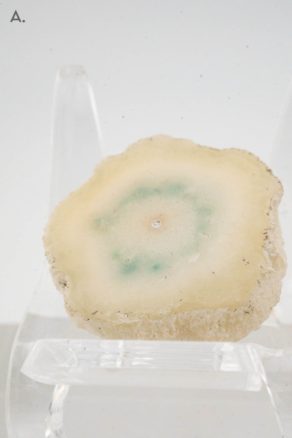 Solar Quartz Stalactite Slice - Brazil