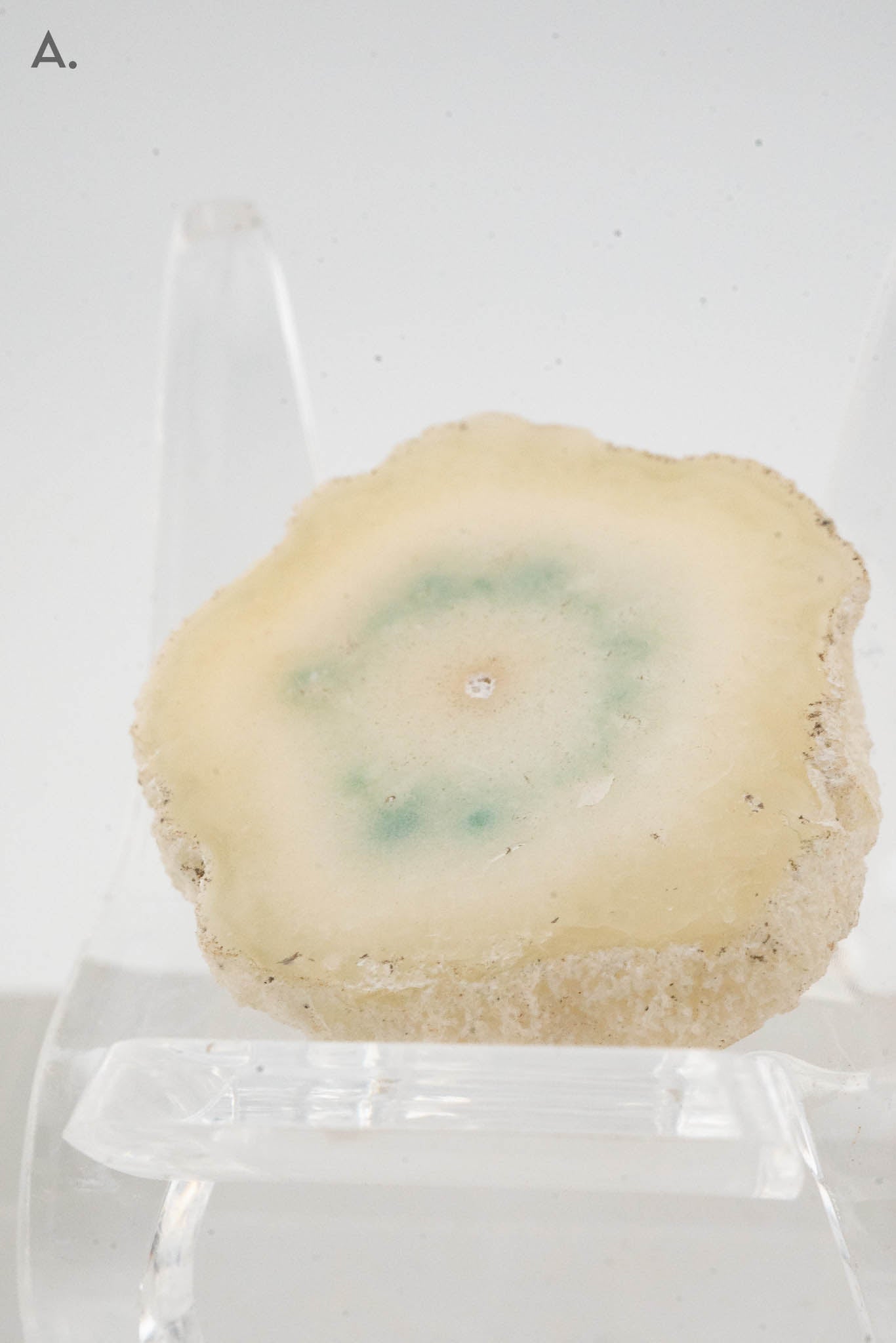 Solar Quartz Stalactite Slice - Brazil