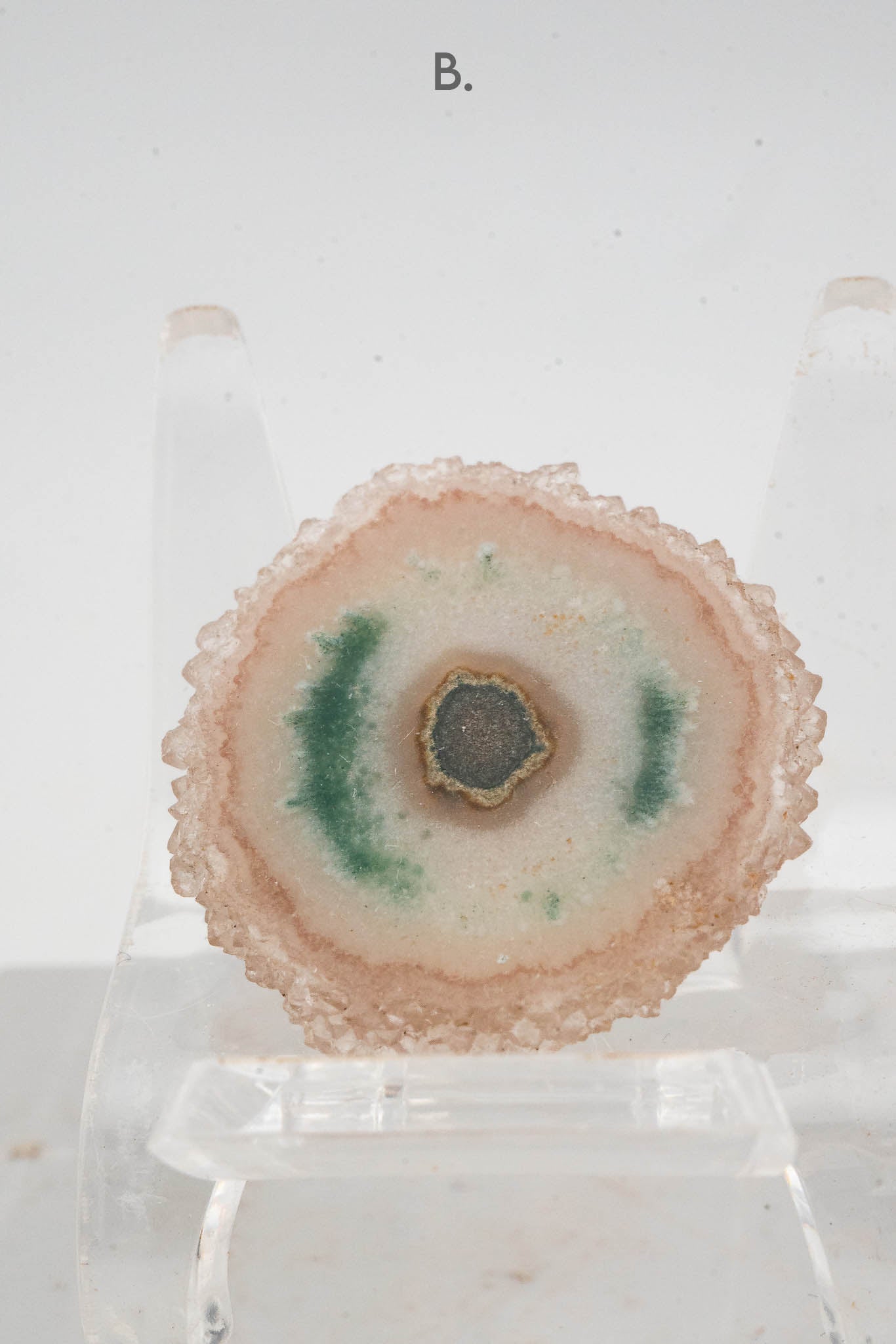 Solar Quartz Stalactite Slice - Brazil