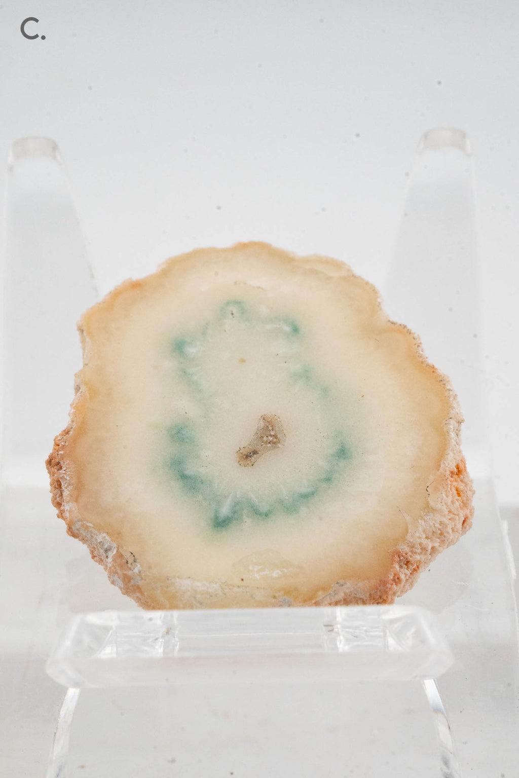 Solar Quartz Stalactite Slice - Brazil
