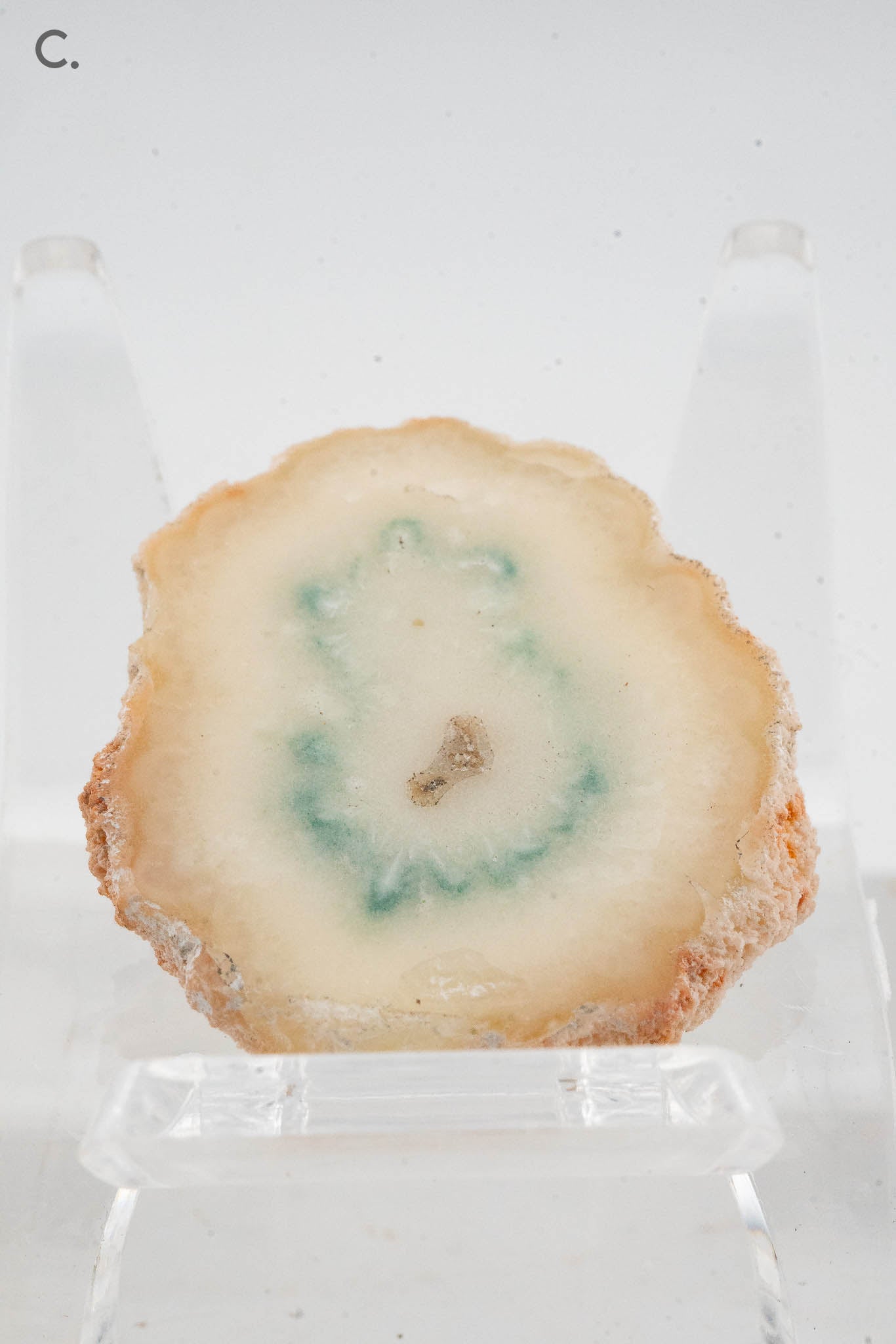 Solar Quartz Stalactite Slice - Brazil