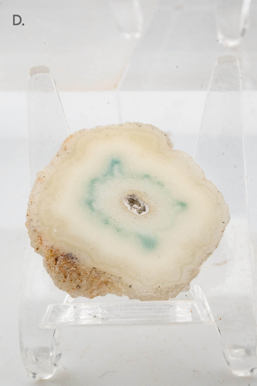 Solar Quartz Stalactite Slice - Brazil
