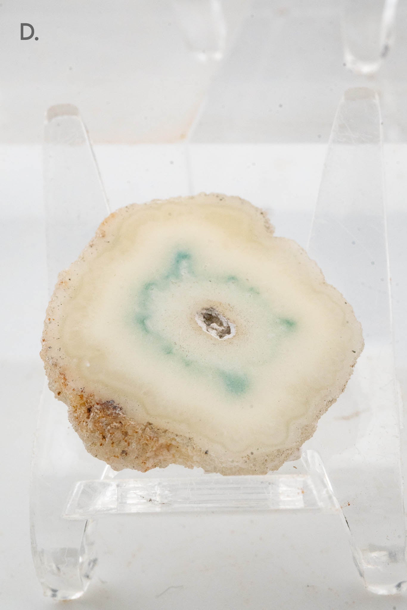 Solar Quartz Stalactite Slice - Brazil