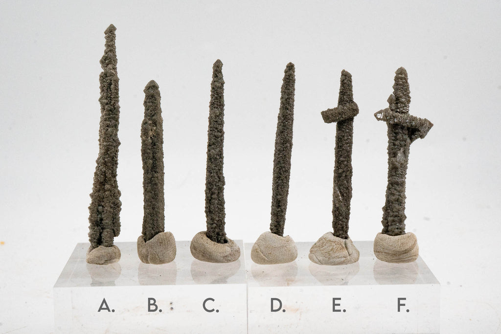 Screw Quartz - Inner Mongolia, China