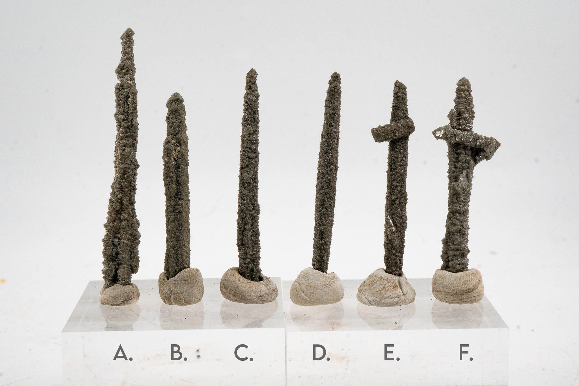 Screw Quartz - Inner Mongolia, China