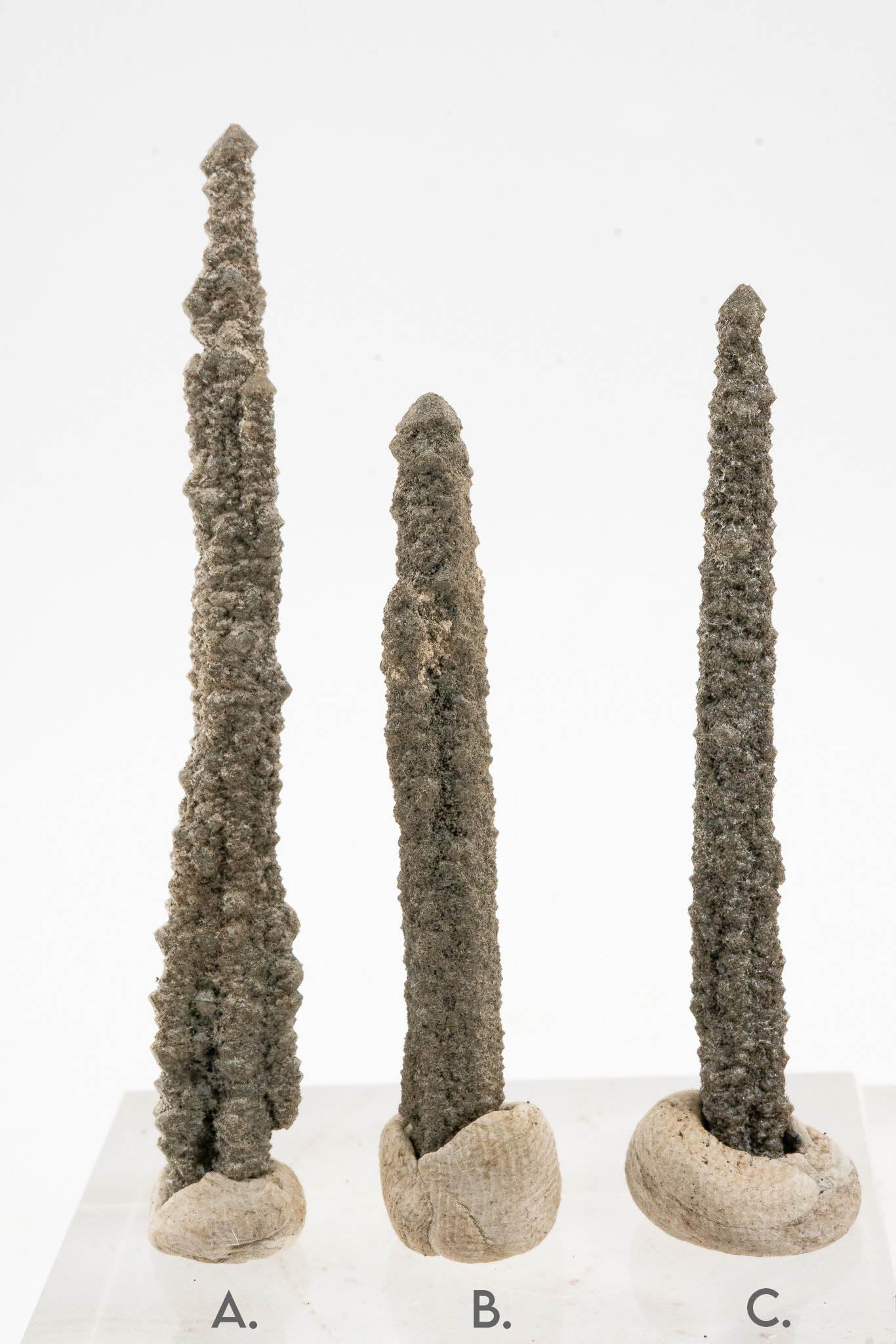 Screw Quartz - Inner Mongolia, China
