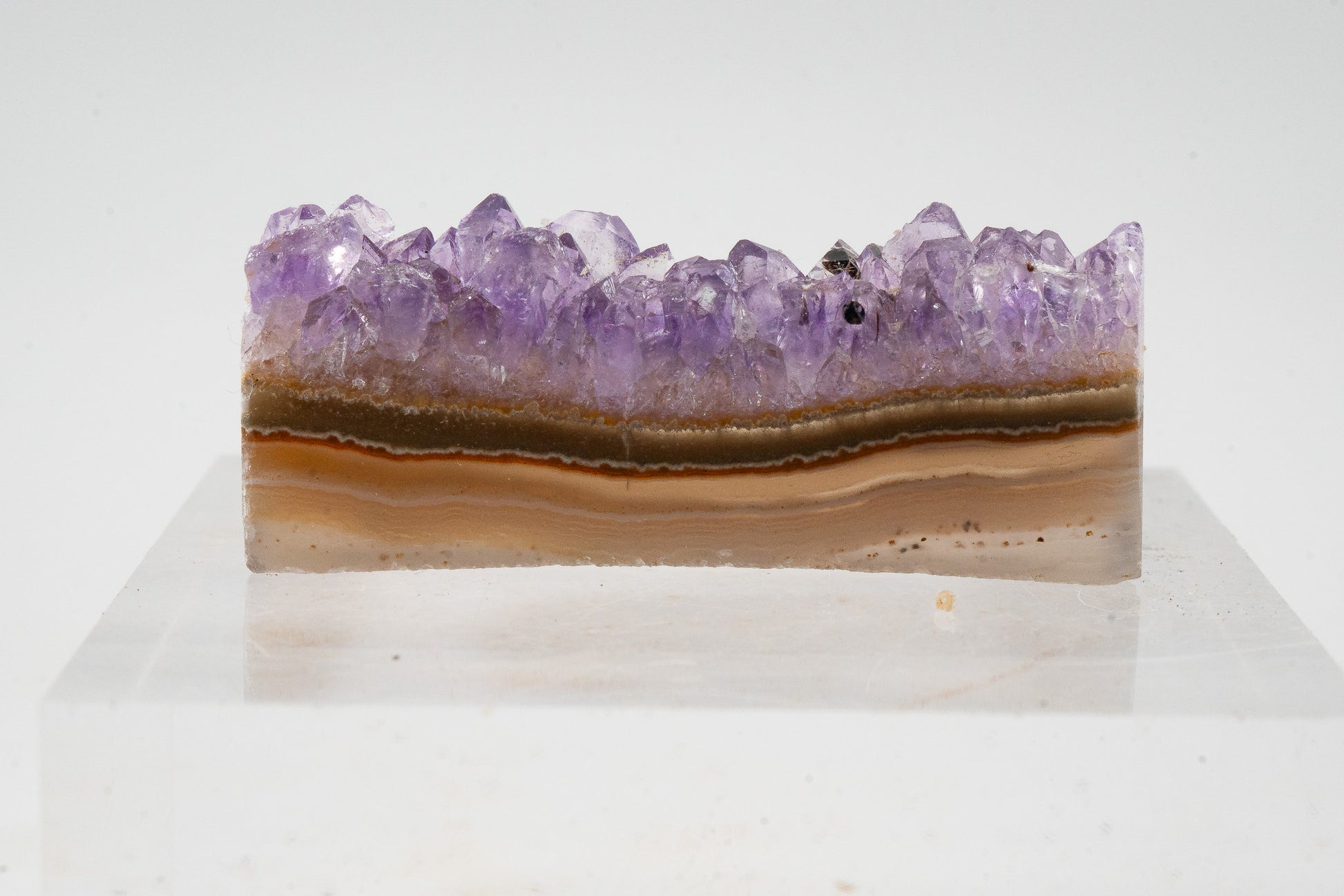 Amethyst Geode Slice - Uruguay