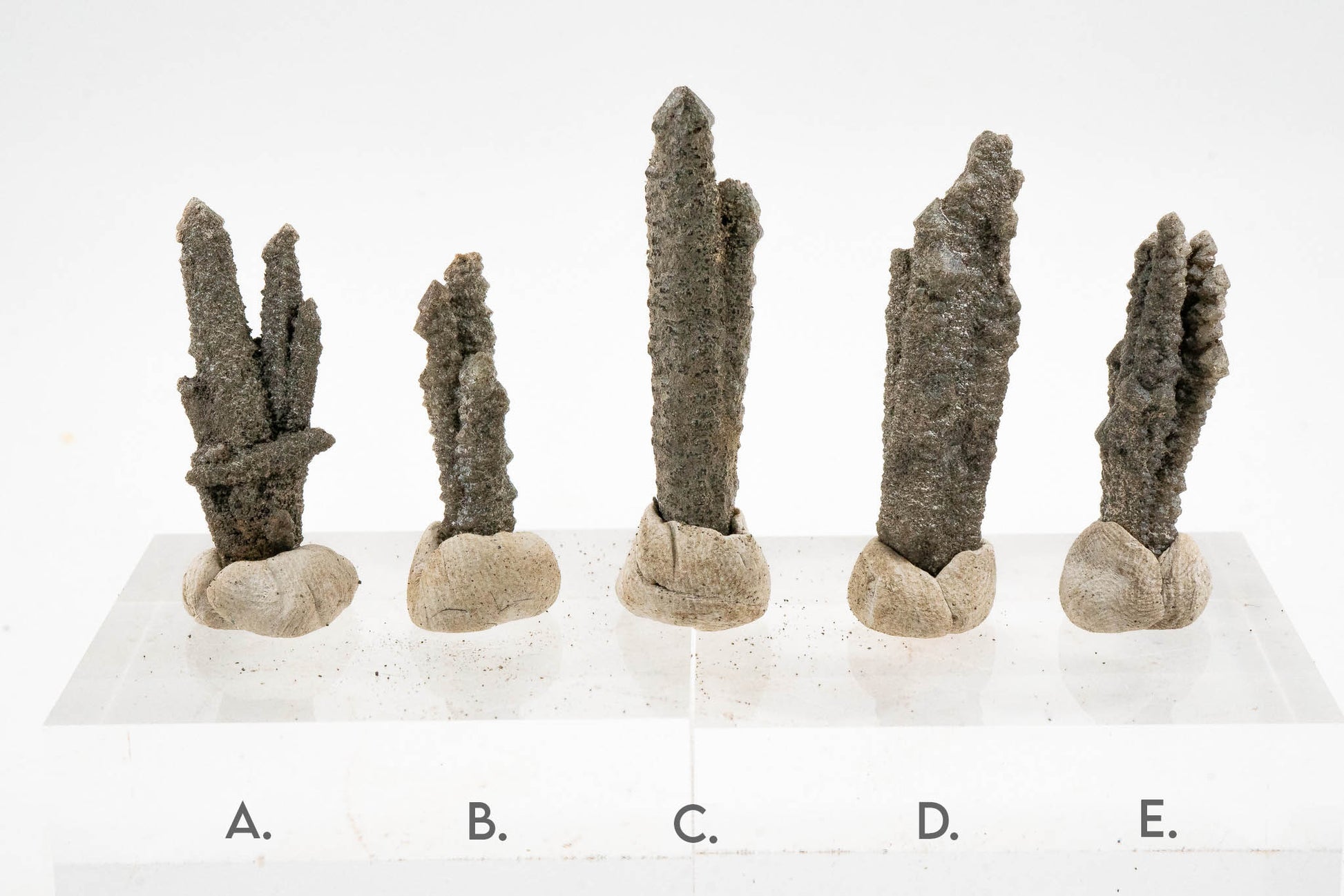 Screw Quartz - Inner Mongolia, China