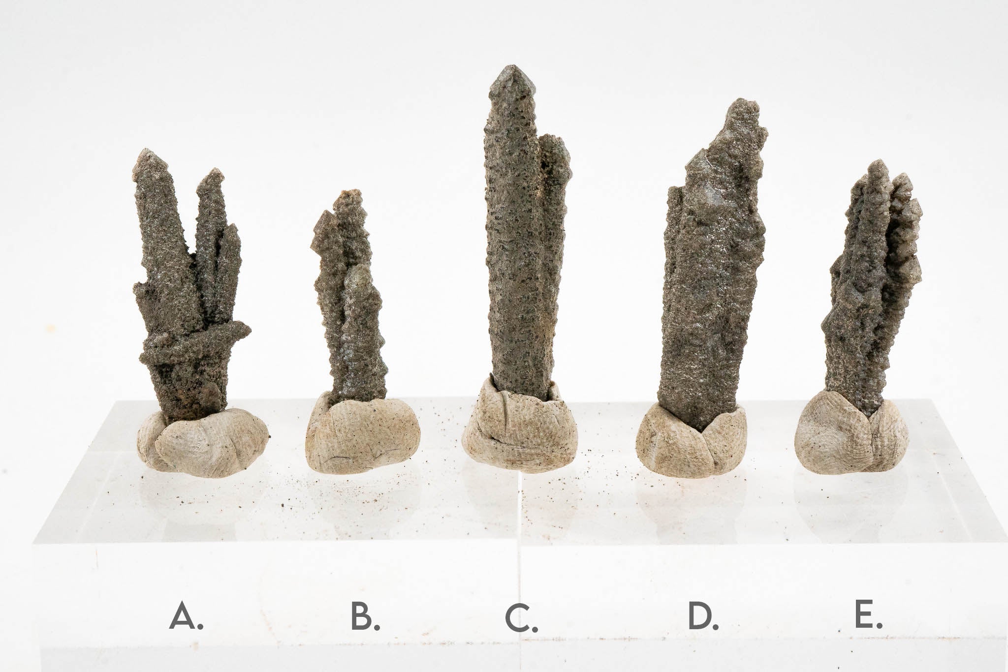 Screw Quartz - Inner Mongolia, China