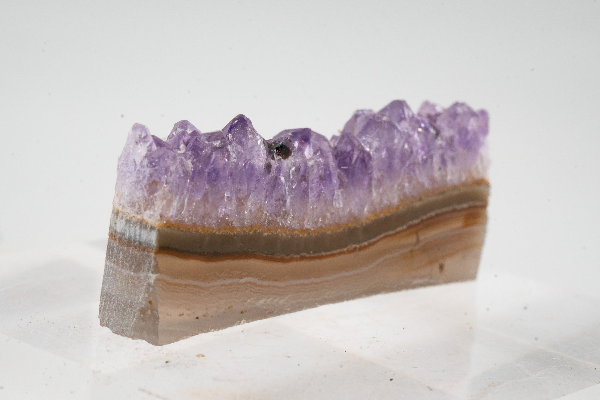 Amethyst Geode Slice - Uruguay