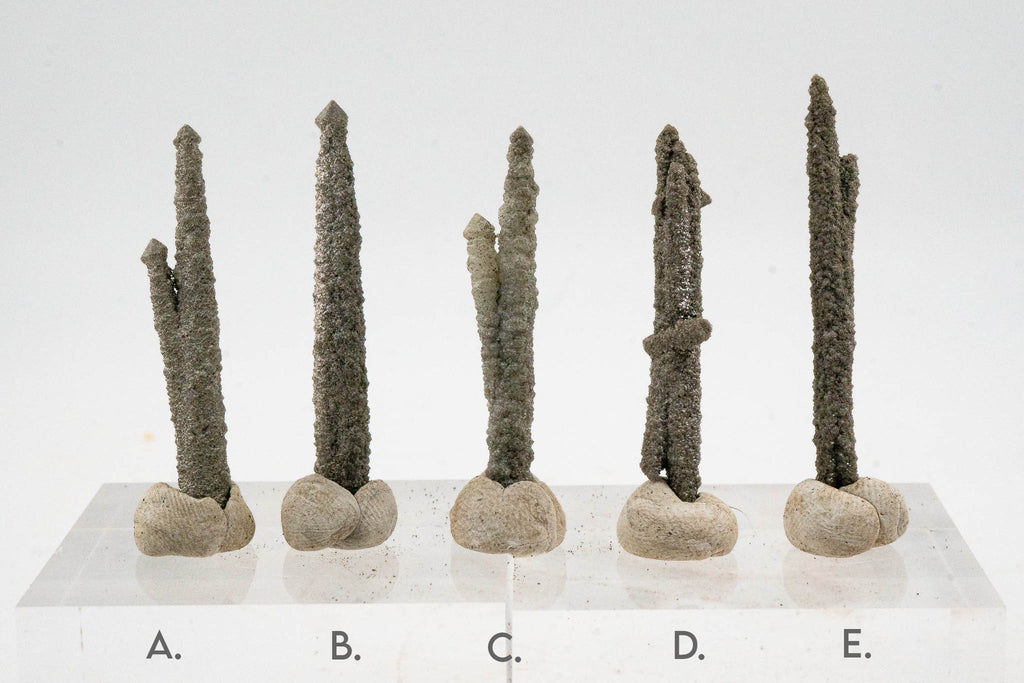 Screw Quartz - Inner Mongolia, China