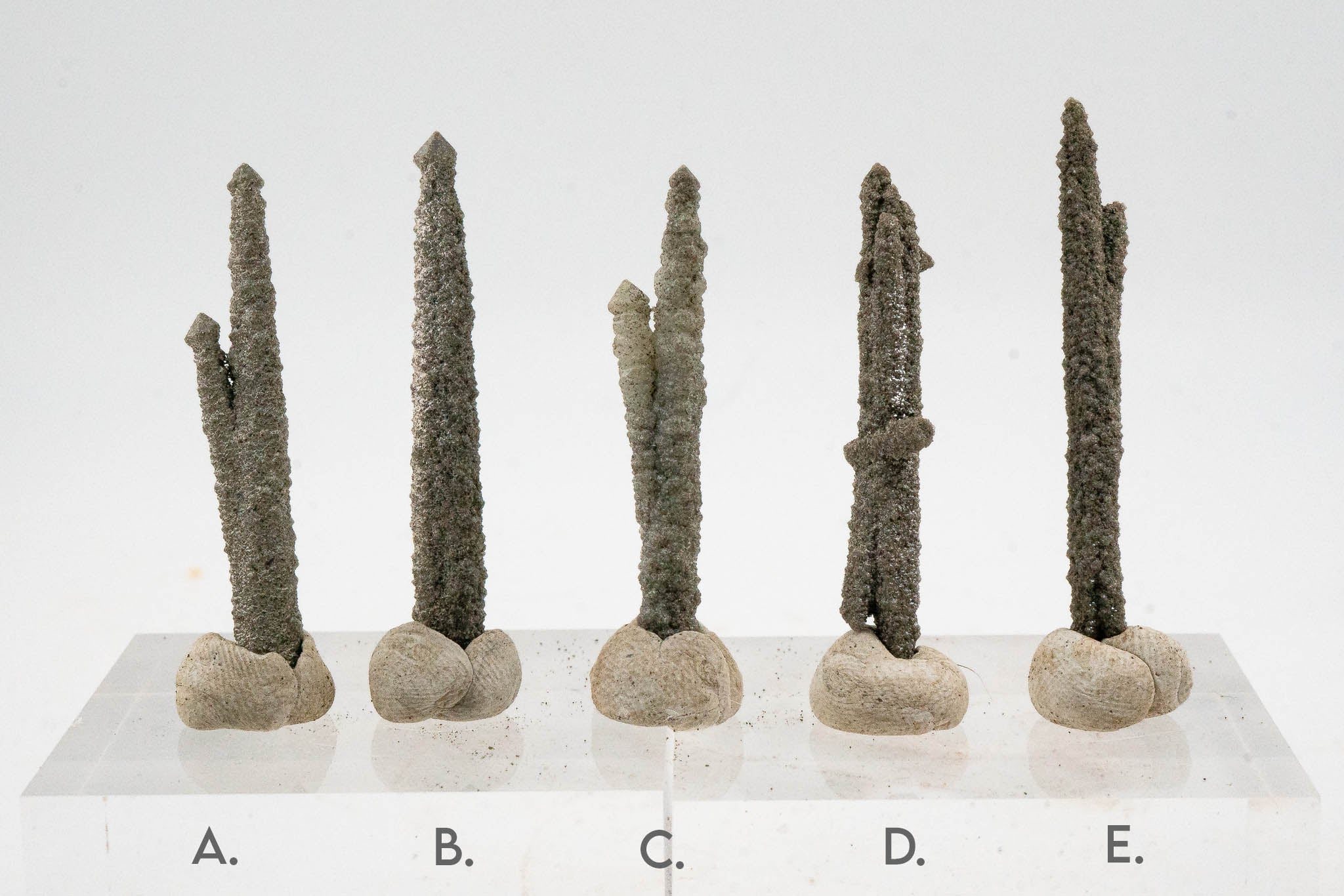 Screw Quartz - Inner Mongolia, China