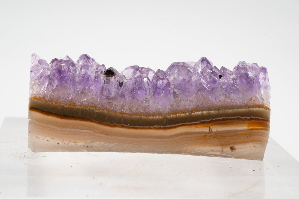 Amethyst Geode Slice - Uruguay