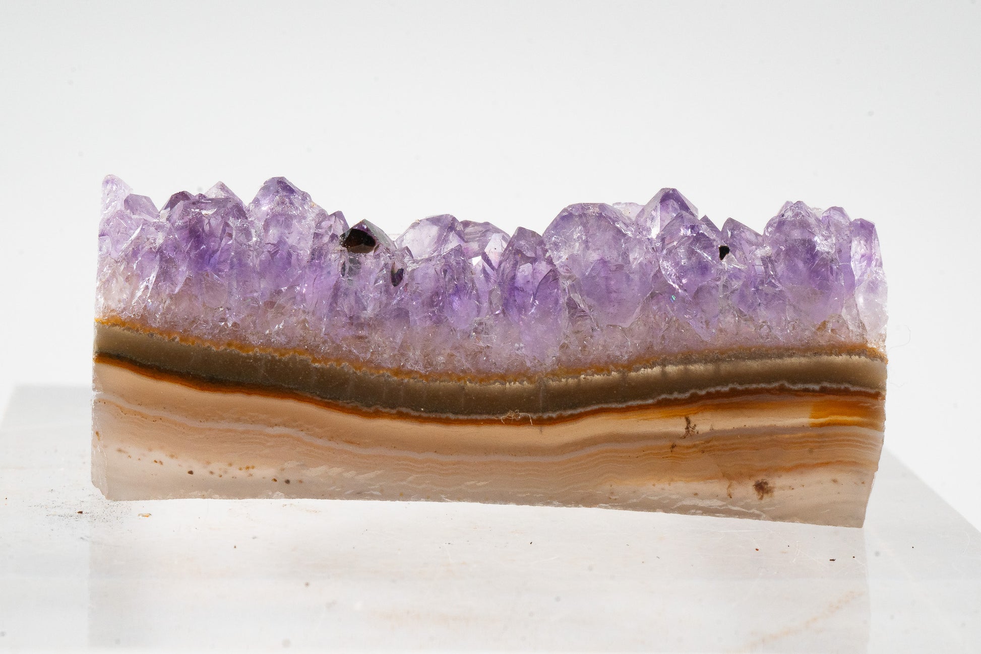 Amethyst Geode Slice - Uruguay