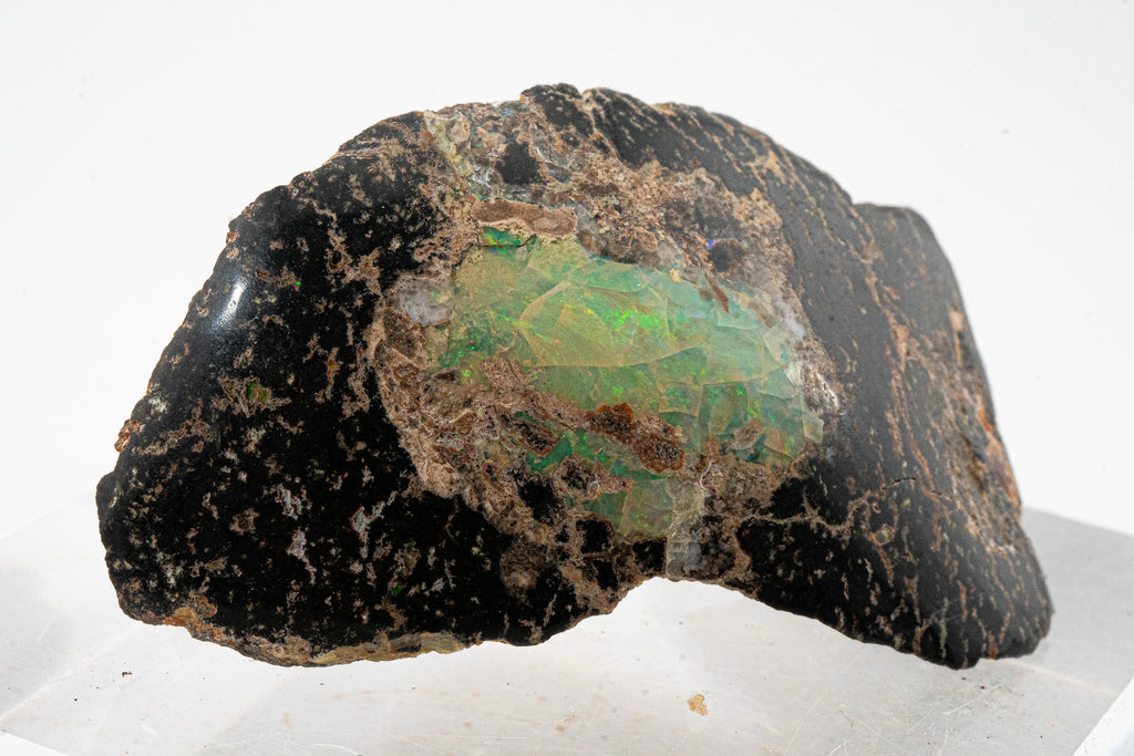 Polished Leopard Opal - Zimapan, Hidalgo, Mexico