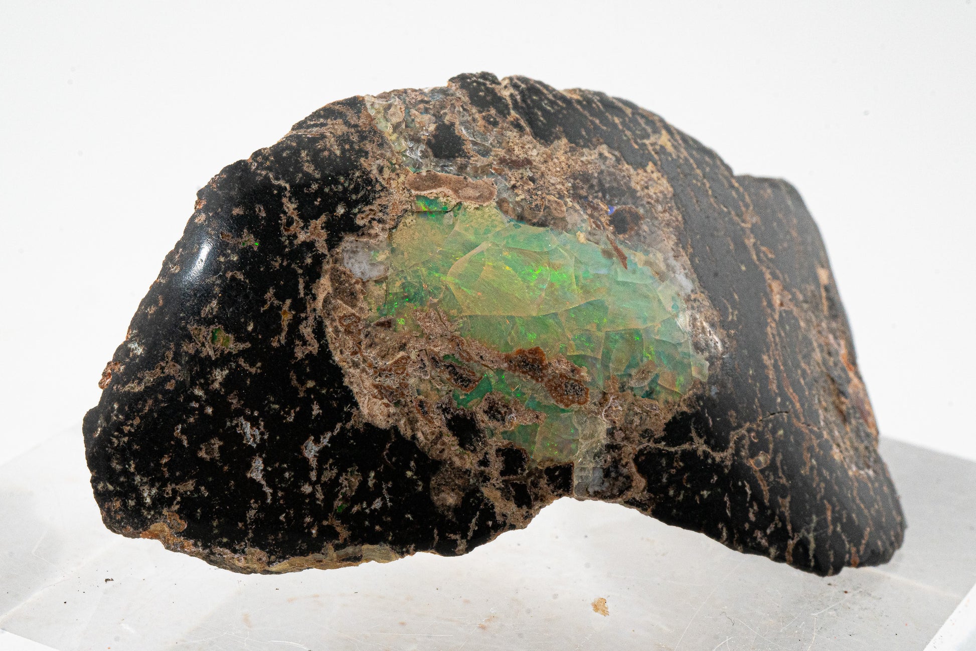 Polished Leopard Opal - Zimapan, Hidalgo, Mexico