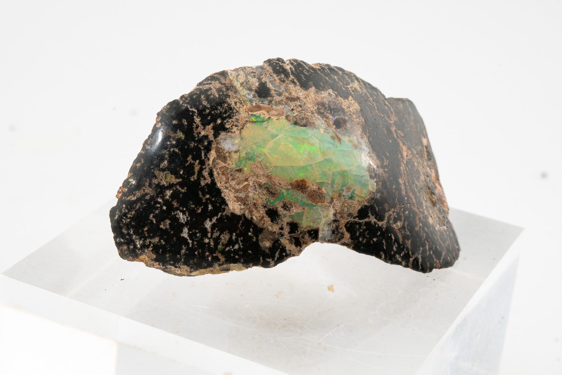 Polished Leopard Opal - Zimapan, Hidalgo, Mexico