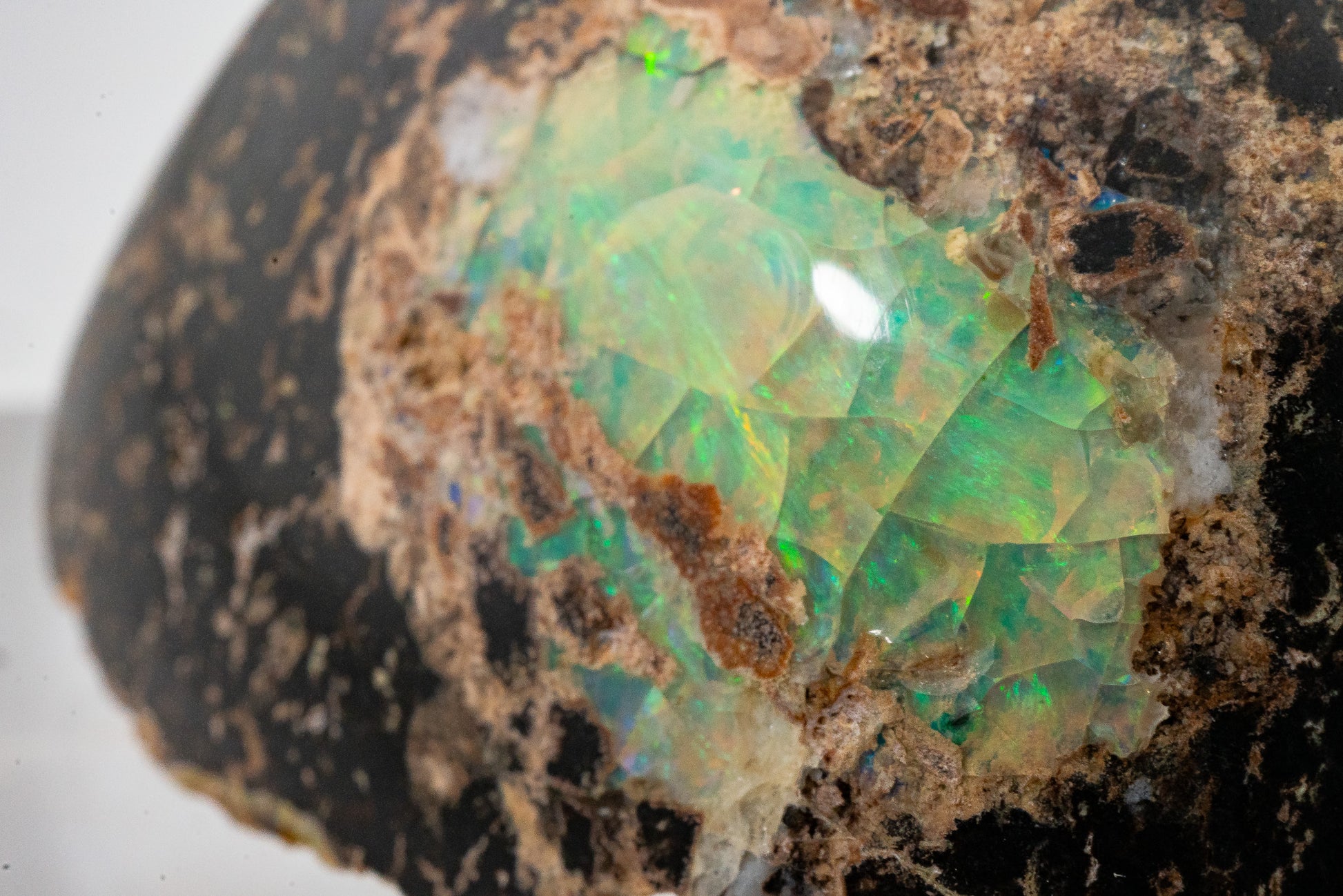 Polished Leopard Opal - Zimapan, Hidalgo, Mexico