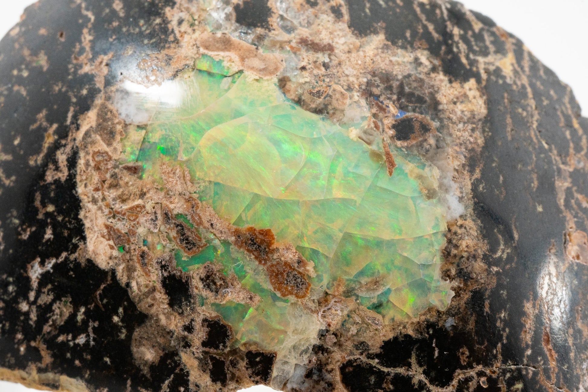 Polished Leopard Opal - Zimapan, Hidalgo, Mexico