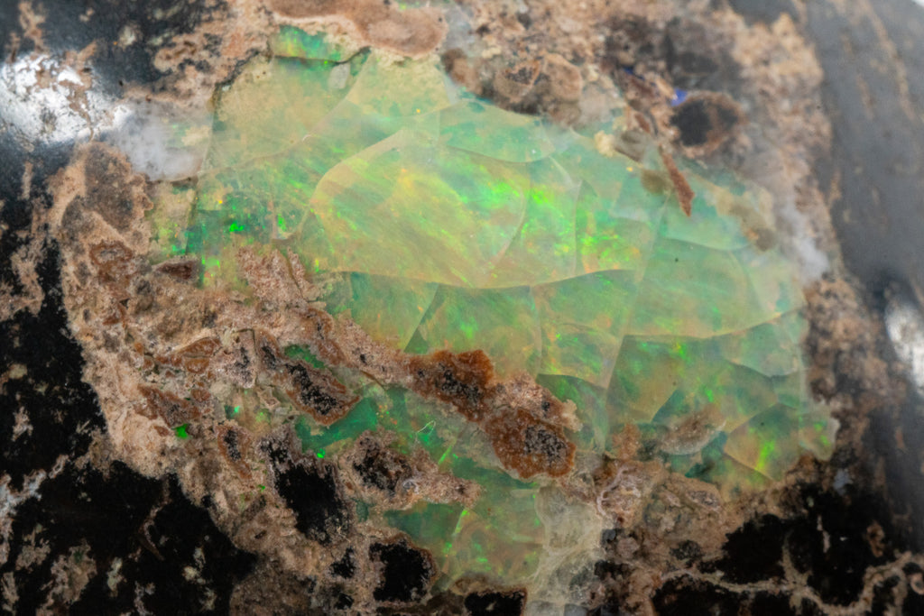 Polished Leopard Opal - Zimapan, Hidalgo, Mexico