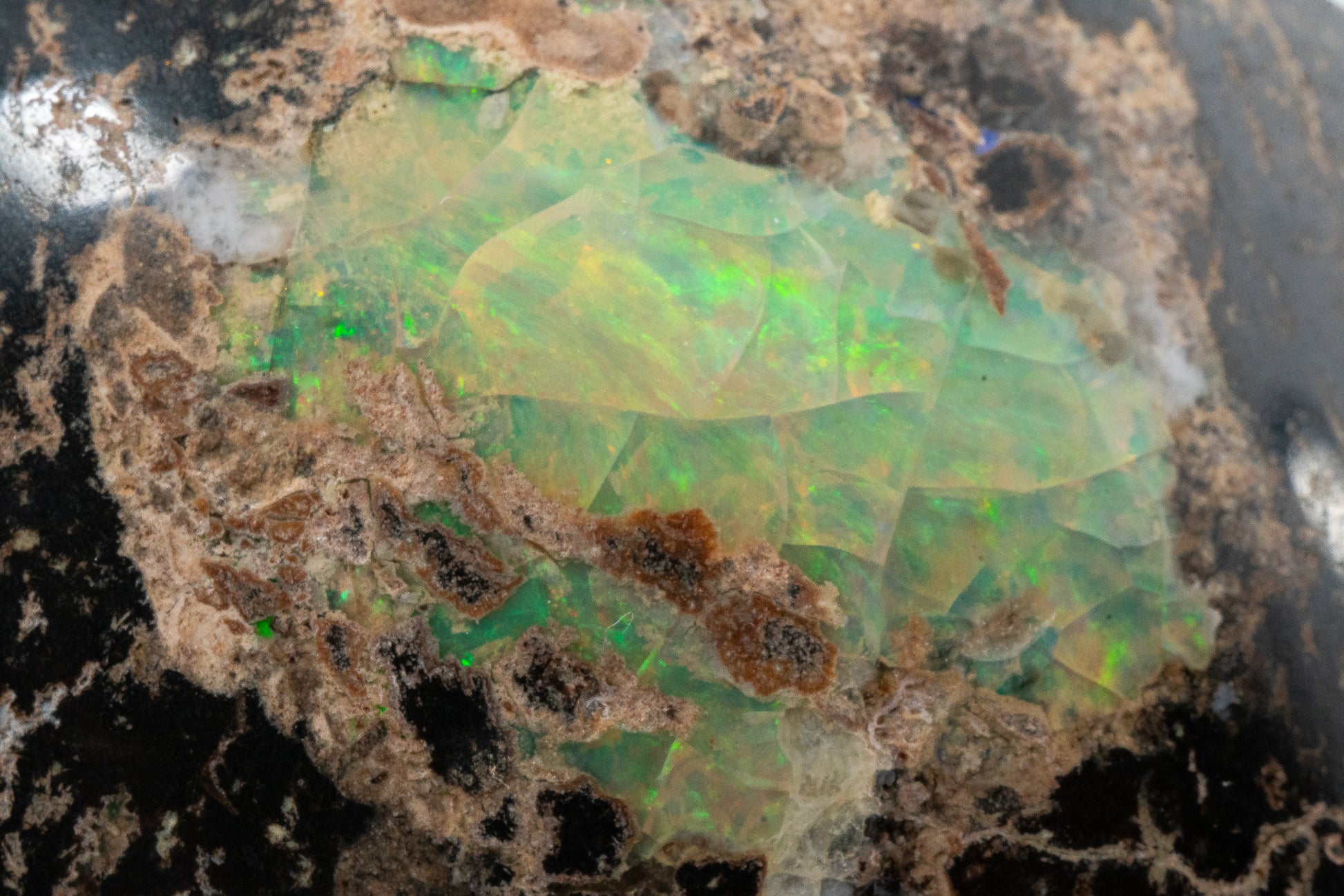 Polished Leopard Opal - Zimapan, Hidalgo, Mexico